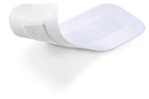 Non-woven fabric with absorbent pad